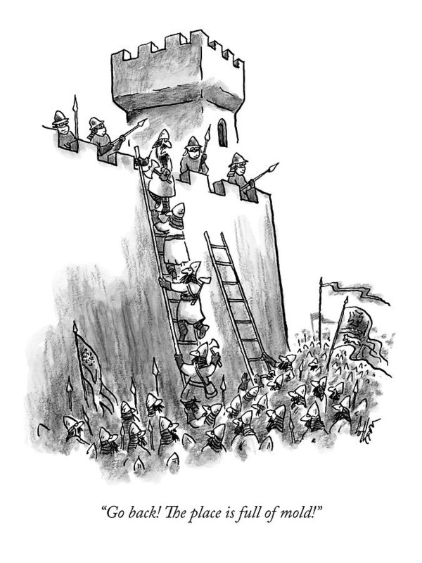 600x800 A Medieval Soldier Climbing A Ladder To The Top Art Print - Medieval Soldier Drawing