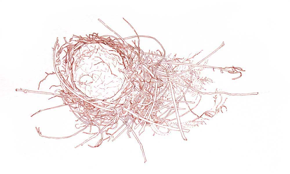 1000x602 drawing as meditation kristin link - Meditation Drawing