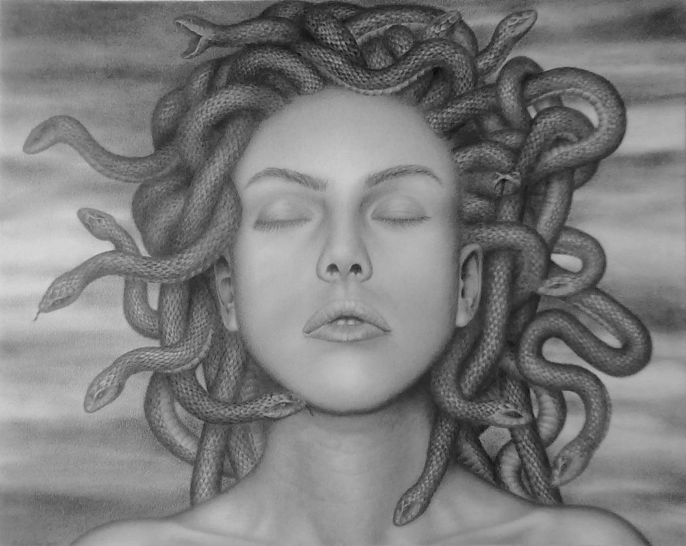 1001x797 the face of medusa - Medusa Face Drawing.