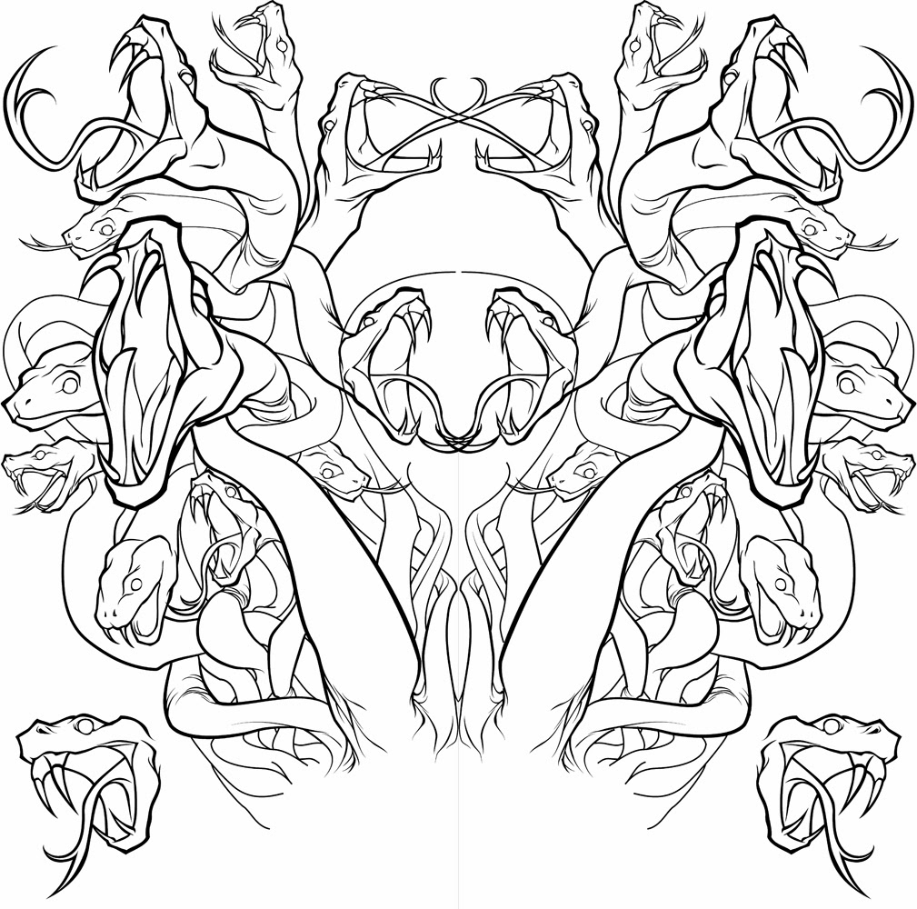 1009x1000 Huge Collection Of 'medusa Line Drawing' Download More Than - Medusa Line Drawing