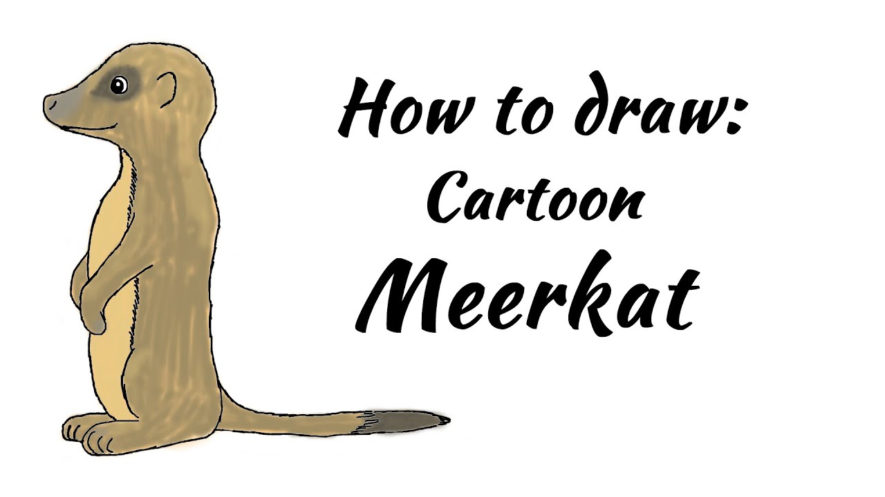 How To Draw A Meerkat Step By Step