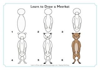 320x226 Learn To Draw A Meerkat Drawing Ideas In Drawings, Animal - Meerkat Drawing