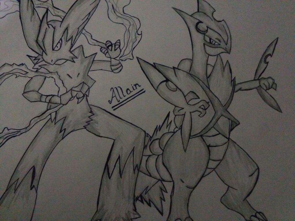 1024x768 drawing of mega blaziken and mega sceptile amino - Mega Blaziken Drawing