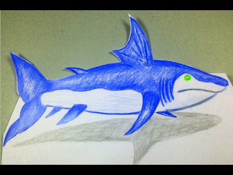 480x360 Drawing Megalodon - Megalodon Drawing
