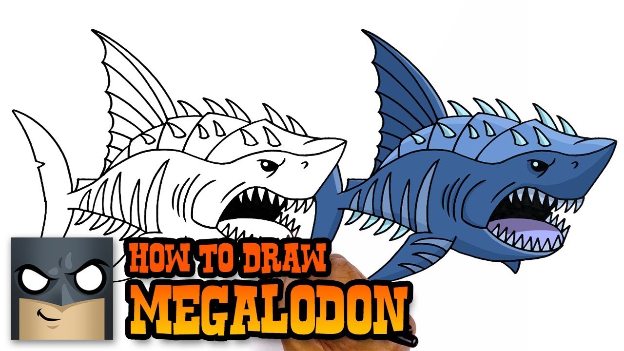 Megalodon Drawing at PaintingValley.com | Explore collection of ...