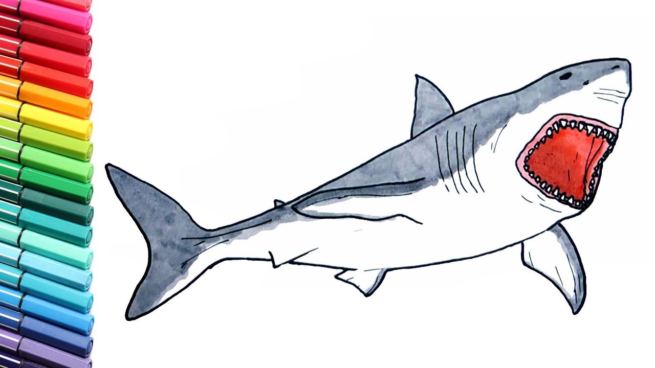 1280x720 shark drawing and coloring pages for children - Megalodon Drawing.
