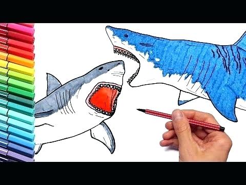 480x360 Videos For How To Draw Ocean Creatures Your Vs Shark Drawing - Megalodon Shark Drawing