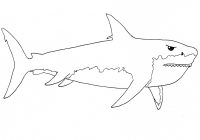 Megalodon Shark Drawing at PaintingValley.com | Explore collection of ...