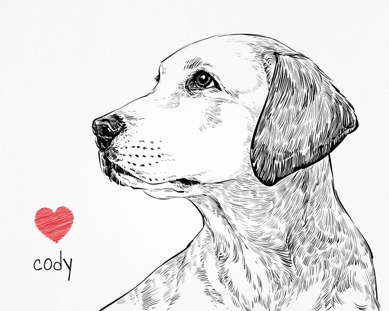 794x635 custom pet drawing custom pet portrait dog memorial cat etsy - Memorial Drawings
