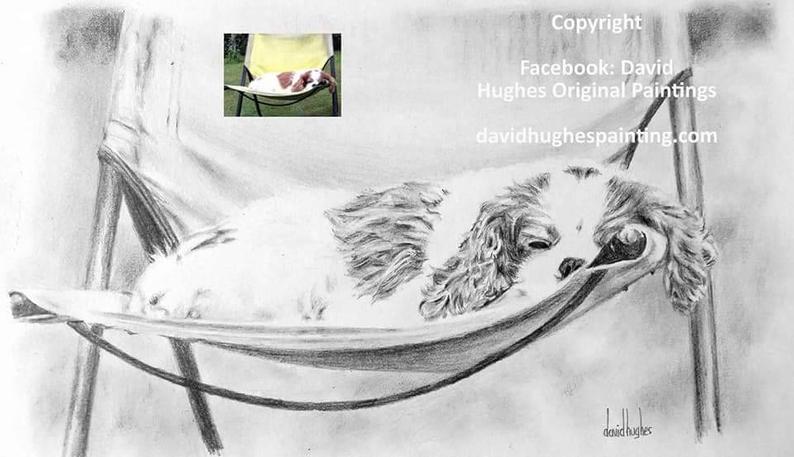 794x457 Custom Made Dog Pencil Portrait Animal Portrait Pet Pencil Etsy - Memorial Drawings