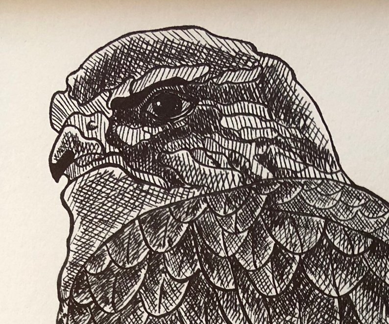 794x661 merlin drawing etsy - Merlin Drawing