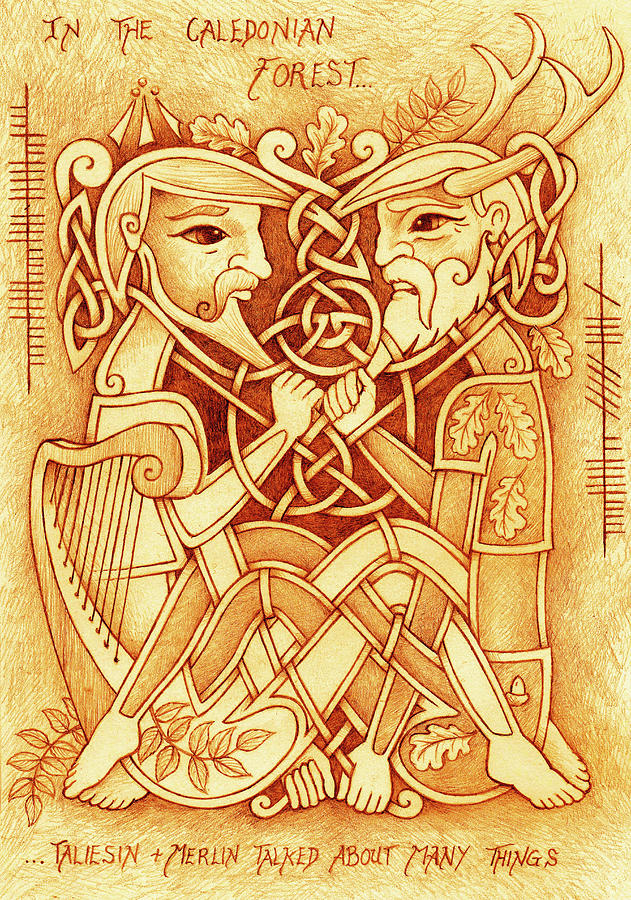 631x900 taliesin and merlin talked about many things drawing - Merlin Drawing
