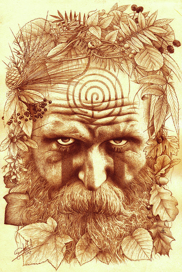 603x900 wild merlin drawing - Merlin Drawing