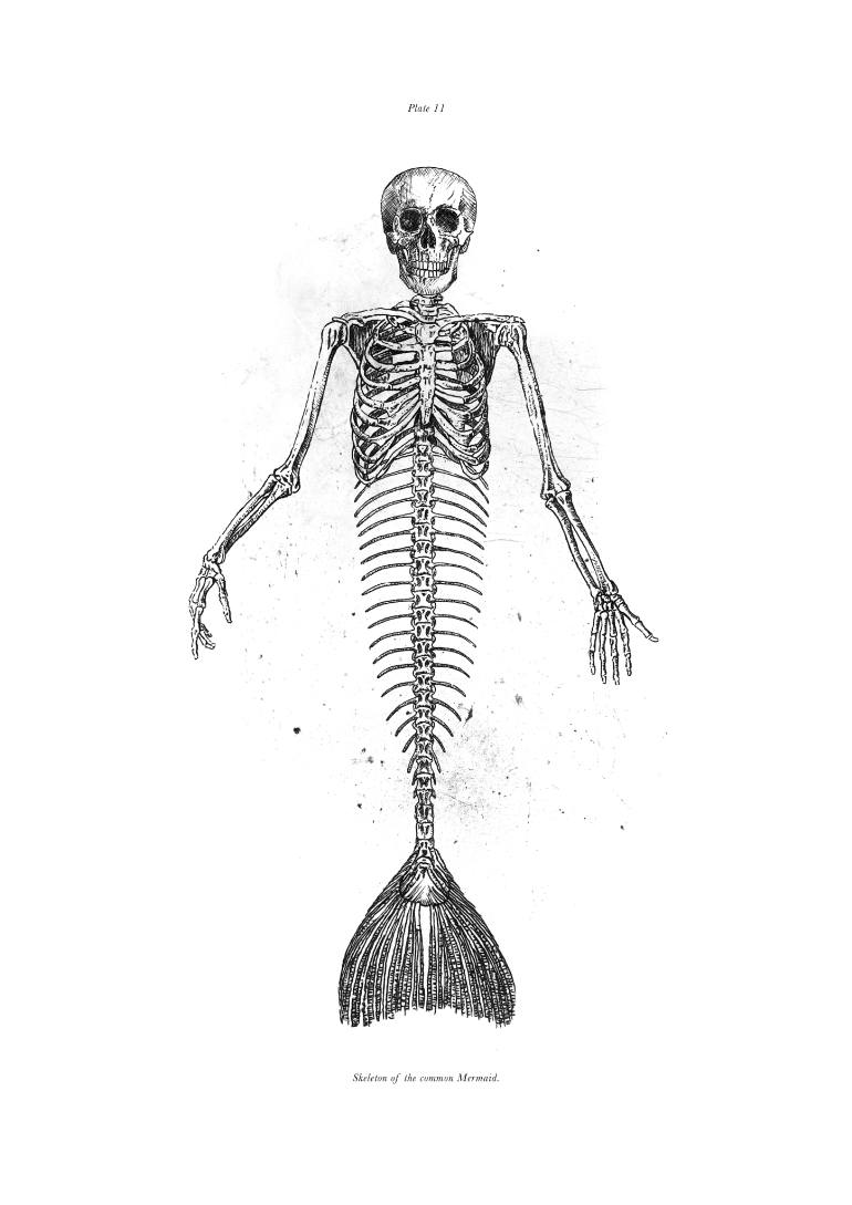 770x1089 Mermaid Drawing - Mermaid Black And White Drawing