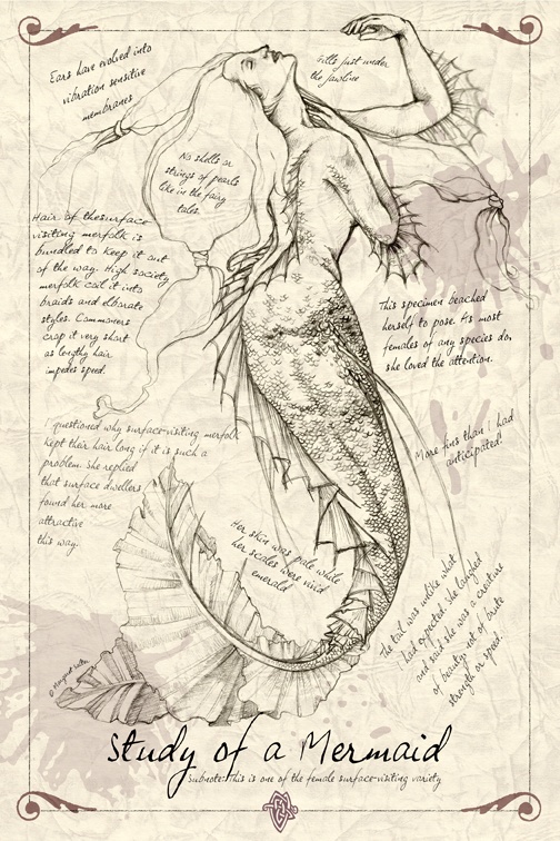 504x756 study of a mermaid mermaid on we heart it - Mermaid Face Drawing