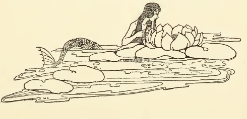 490x237 Mermaid Drawing - Mermaid Images For Drawing