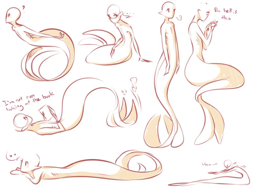 1020x765 Mermaid Reference Artistically In Drawings - Mermaid Images For Drawing