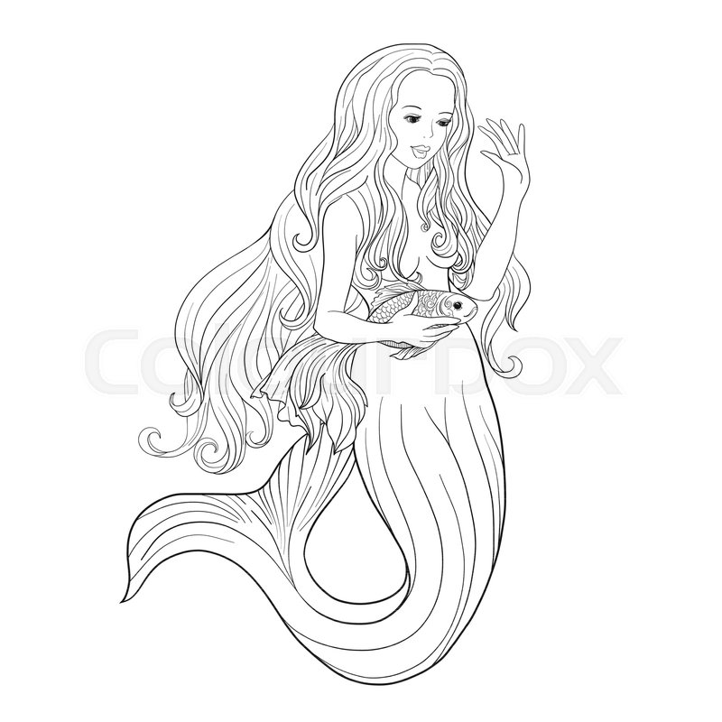 800x800 hand drawn mermaid with gold fish in stock vector colourbox - Mermaid Outline Drawing