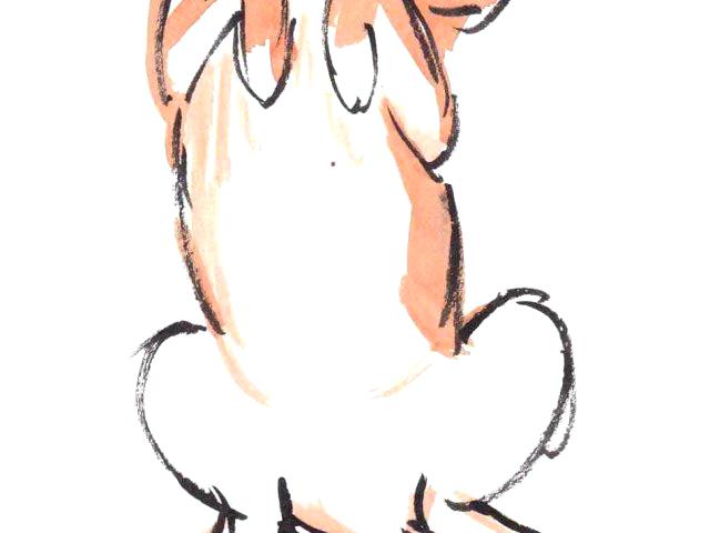 640x480 how to draw a mermaid tail painting scales draw mermaid tail udl - Mermaid Tail Drawing