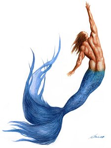 225x300 Mermaid Drawings Fine Art America - Merman Drawing