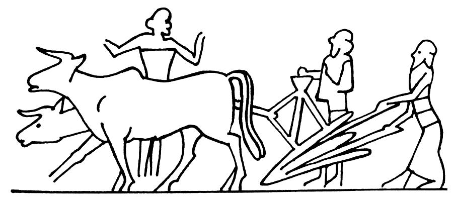 900x400 mesopotamia farming photograph - Mesopotamia Drawings