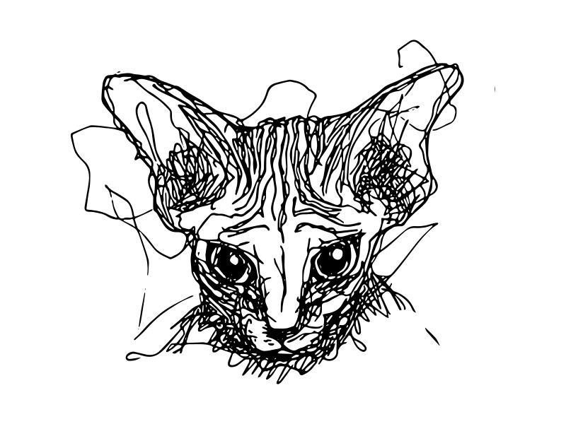 800x600 messy drawing - Messy Drawing