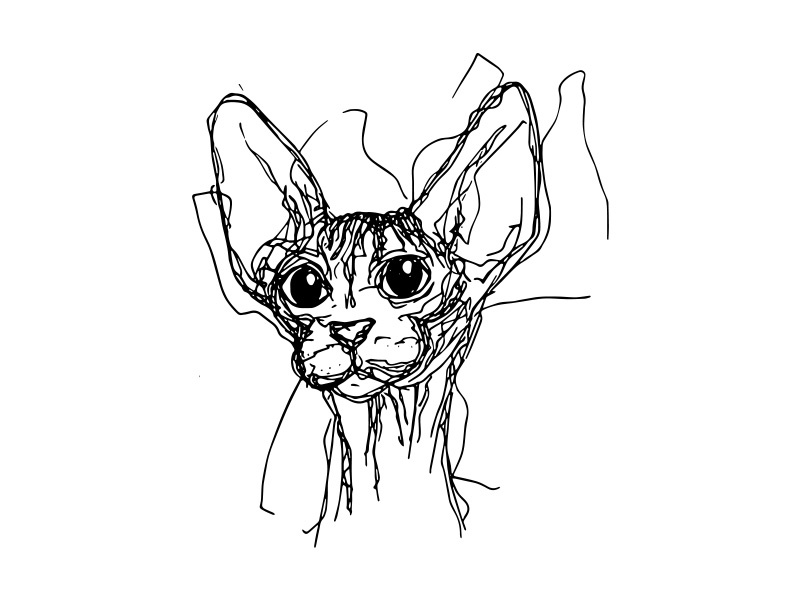 800x600 messy drawing - Messy Drawing