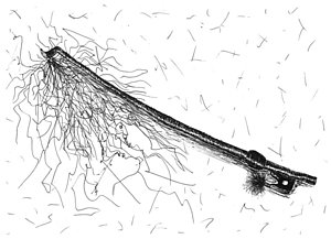 300x217 messy drawings - Messy Drawing