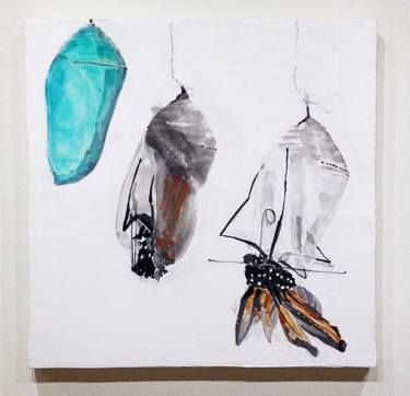 375x362 metamorphosis drawing - Metamorphosis Drawings