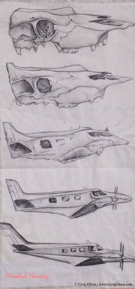 450x960 metamorphosis drawing art class high school art - Metamorphosis Drawings