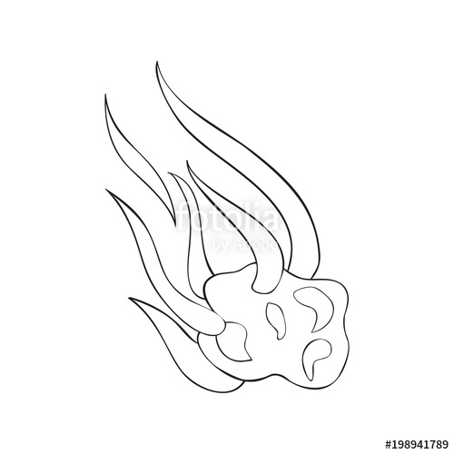 500x500 vector sketch illustration of an object of nature outline hand - Meteor Drawing