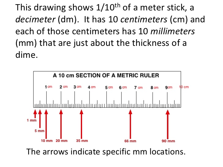 Meter Stick Drawing at Explore collection of Meter