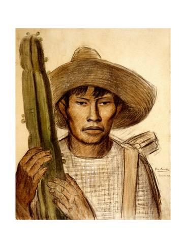 366x488 mexican boy with cactus print - Mexican Boy Drawing