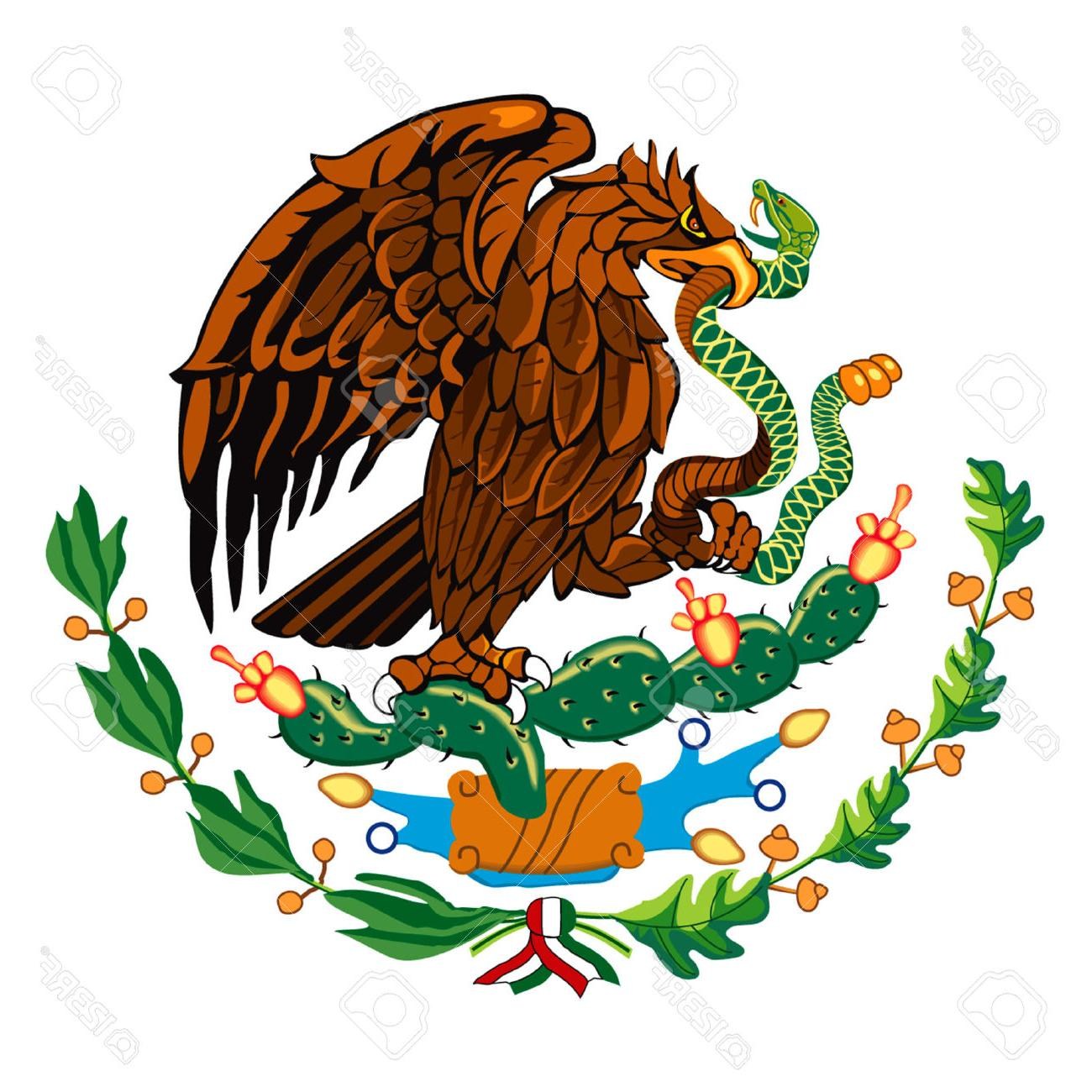 Featured image of post How To Draw The Eagle On The Mexican Flag