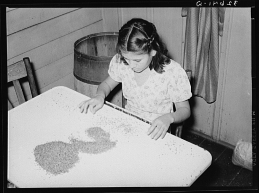 1024x763 mexican girl removing shells from small pieces of pecan meats - Mexican Girl Drawing