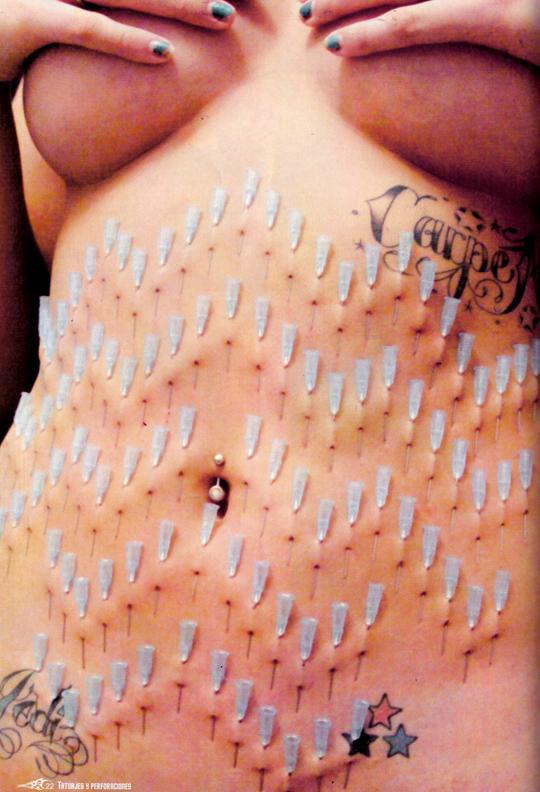 540x792 flowers xochi wind rose compass rose - Mexican Rose Drawing