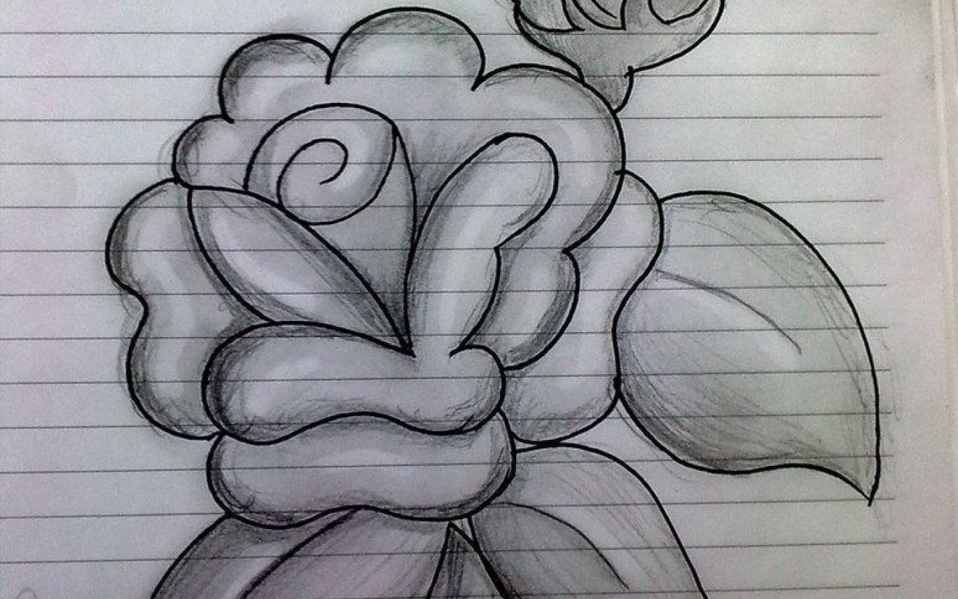 1368x855 mexican flowers drawing drawings nocturnal gardening flower - Mexican Rose Drawing