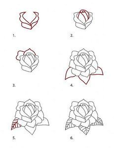 231x300 Pinned - Mexican Rose Drawing