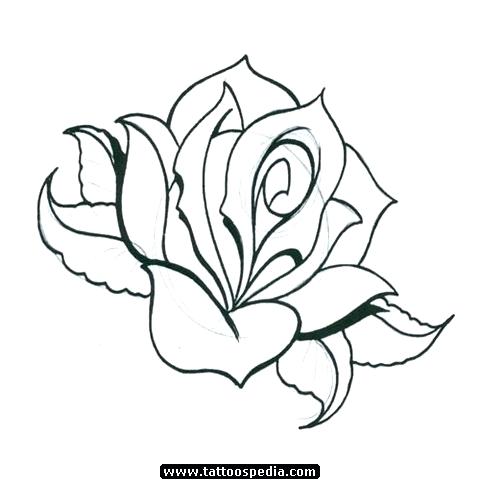 Mexican Rose Drawing at PaintingValley.com | Explore collection of ...