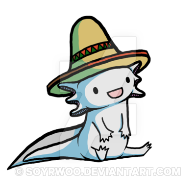 400x400 sombrero drawings - Mexican Sombrero Drawing