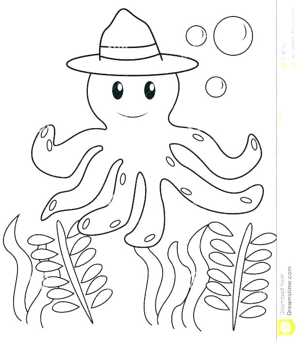 618x703 mexican sombrero coloring - Mexican Sombrero Drawing