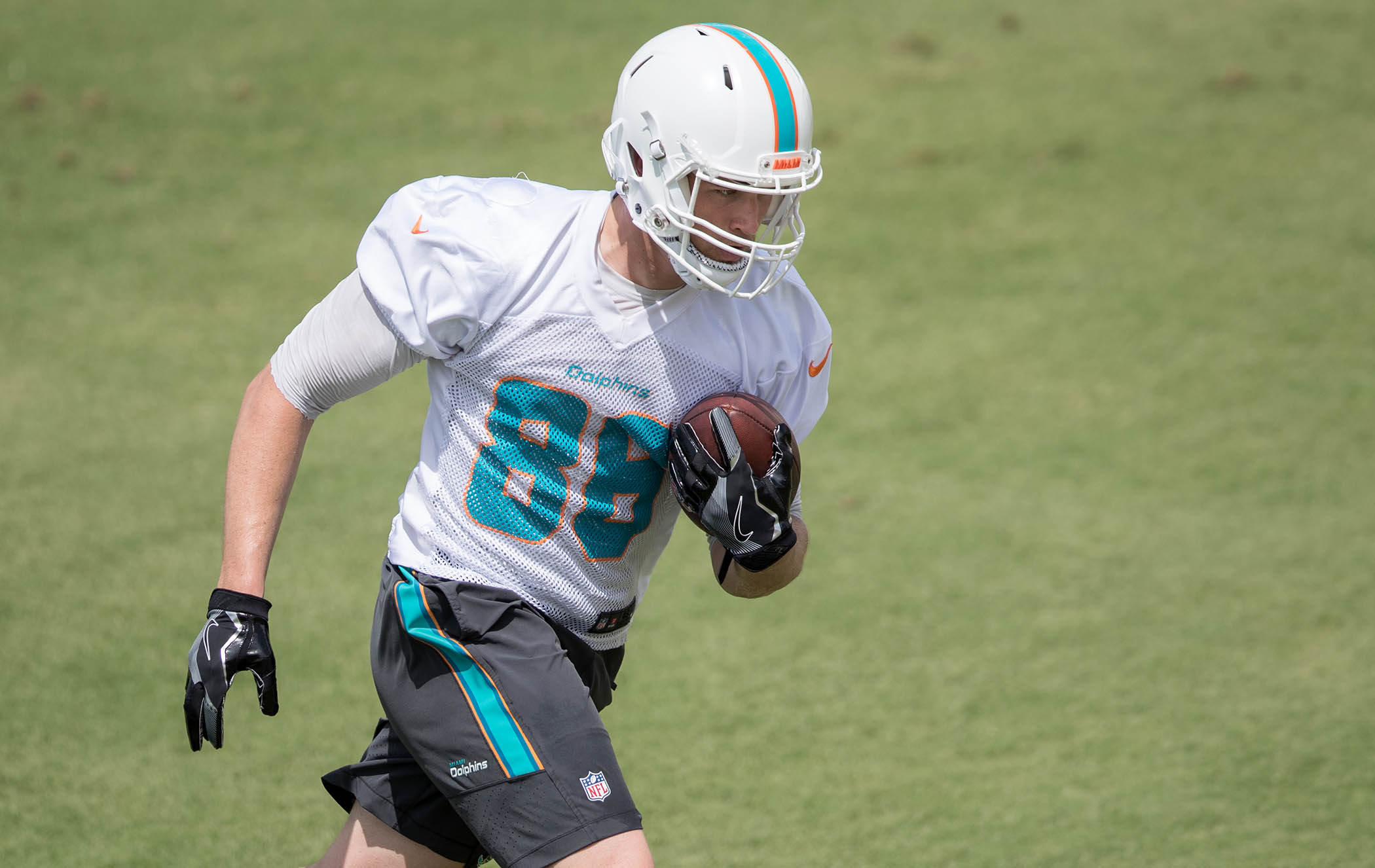 2100x1326 ready, draw! nightly pop quizzes help miami dolphins te mike - Miami Dolphins Drawings