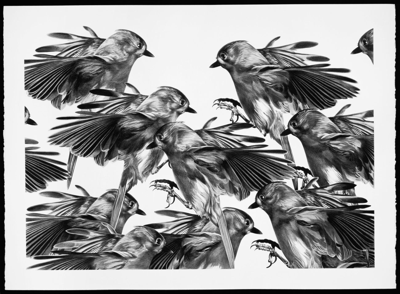 1300x956 museum curator goes on miami art safari arts - Miami Drawing