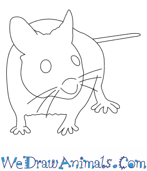 300x350 how to draw a wood mouse - Mice Drawing