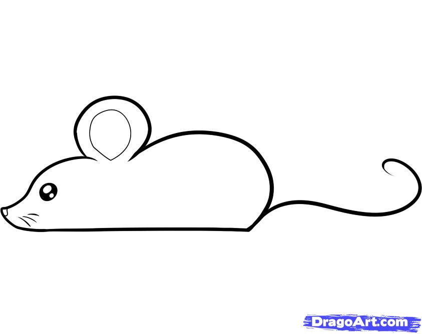 843x668 draw a mouse for kids, step - Mice Drawing