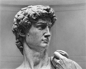 300x240 David - Michelangelo David Drawing