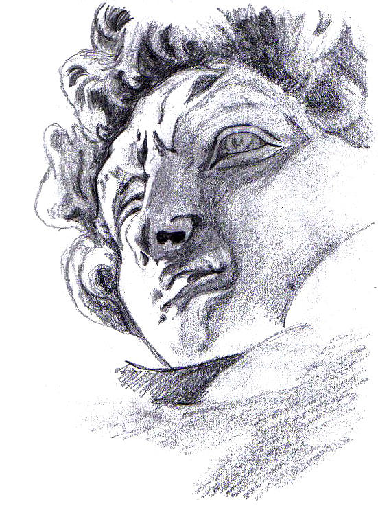 551x737 David - Michelangelo David Drawing