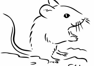 300x210 mouse simple drawing mickey mouse simple drawing how to draw - Mickey Mouse Simple Drawing