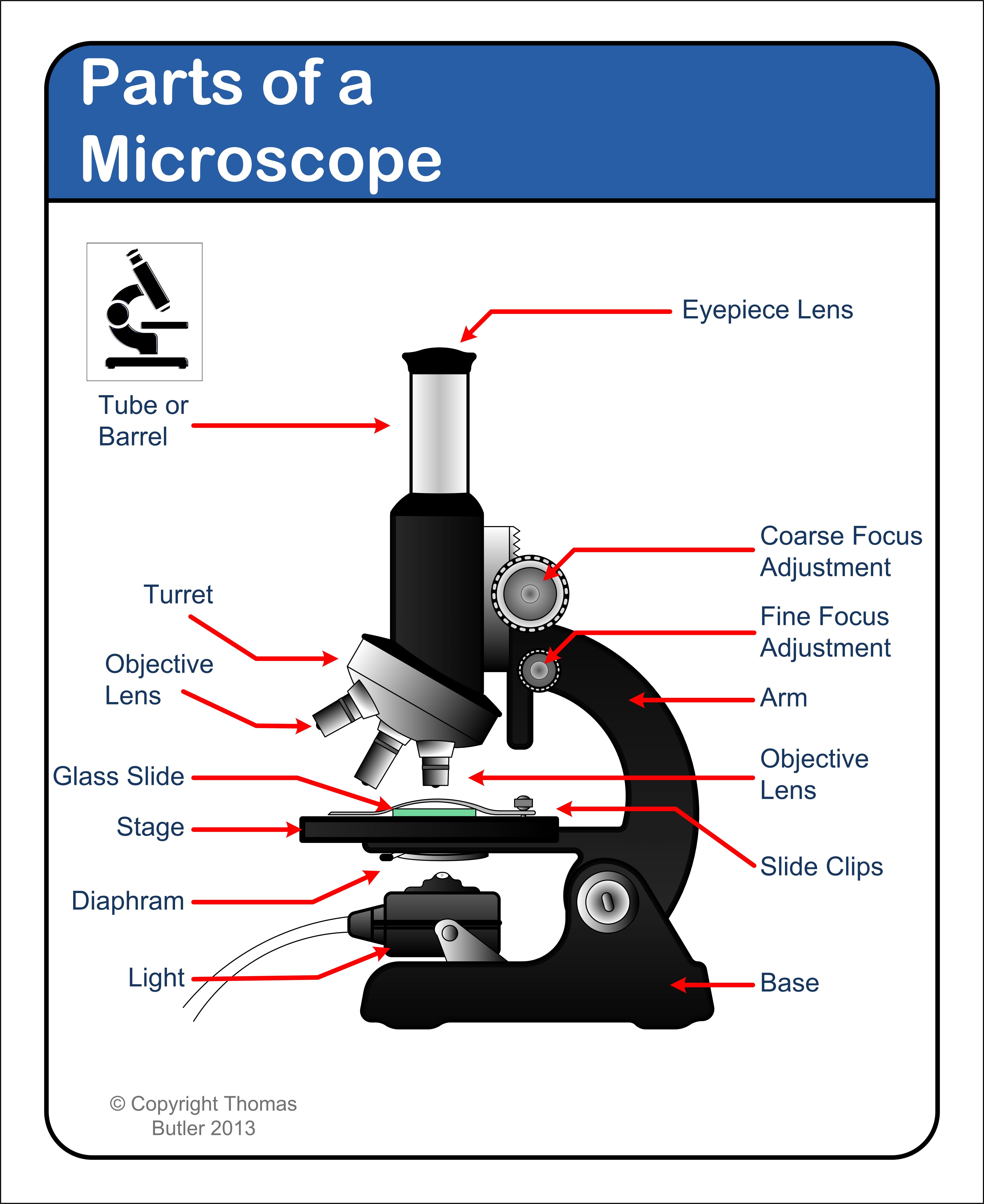 5632x6889 Microscope - Microscope Drawing