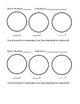 270x350 Blank Microscope Drawing Space - Microscope Drawing